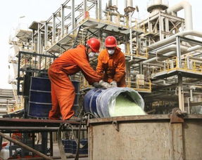 海量精选高清图片库 四川天采科技有限责任公司代理服务全面解析